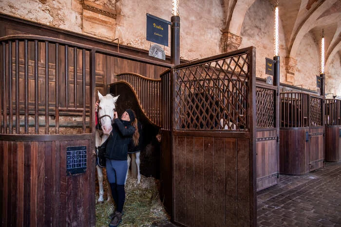 Dans les coulisses de l'Académie équestre (visite guidée)