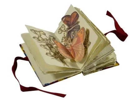 Livres d'artistes La nature à l'oeuvre