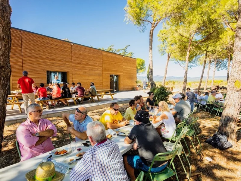 BALADES VIGNERONNES EN GRAND CARCASSONNE - DOMAINE DES HOMS