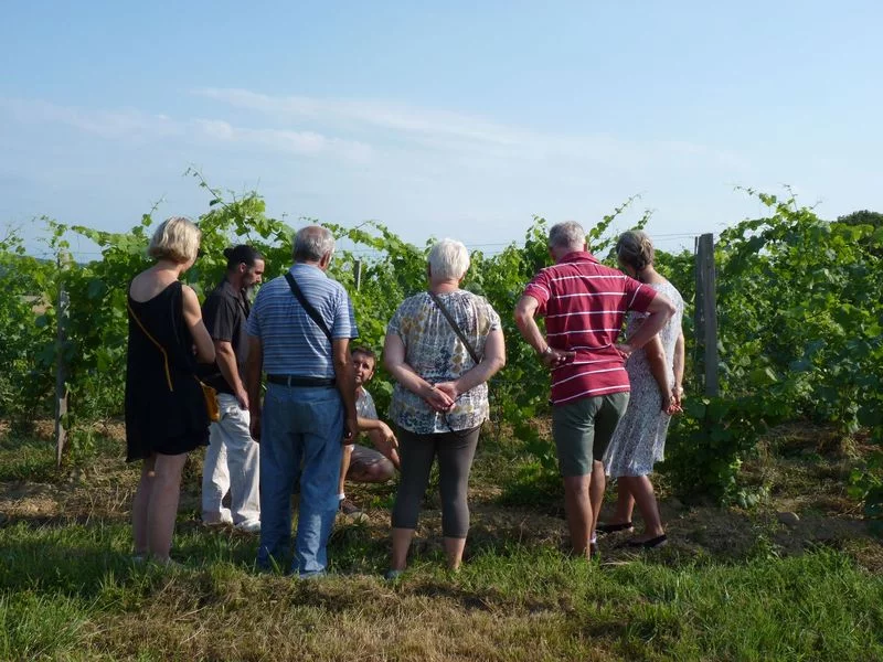 Apéro vigneron bio, au domaine Clos Basté