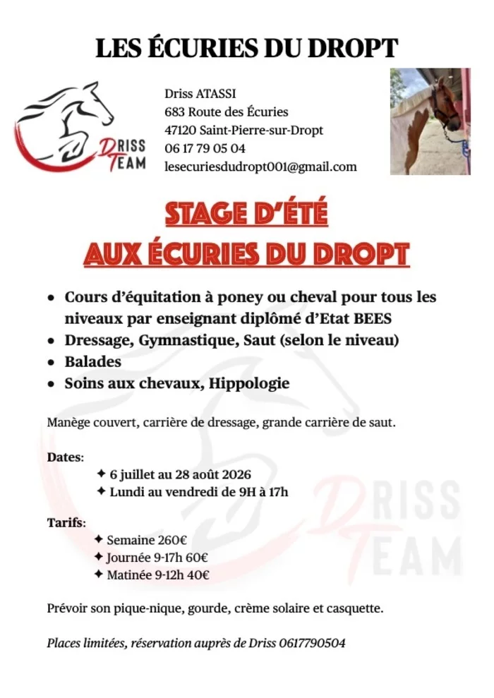 Stage d'été