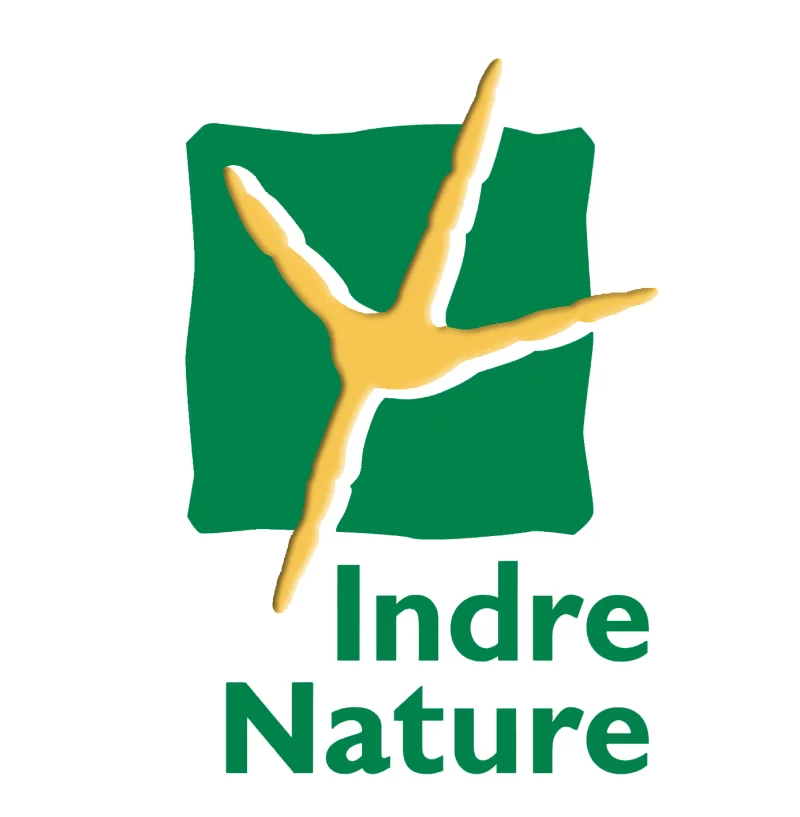 Sortie nature : les supers pouvoirs des plantes