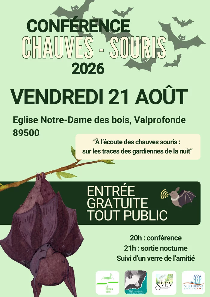 À l’écoute des chauves-souris : sur les traces des gardiennes de la nuit