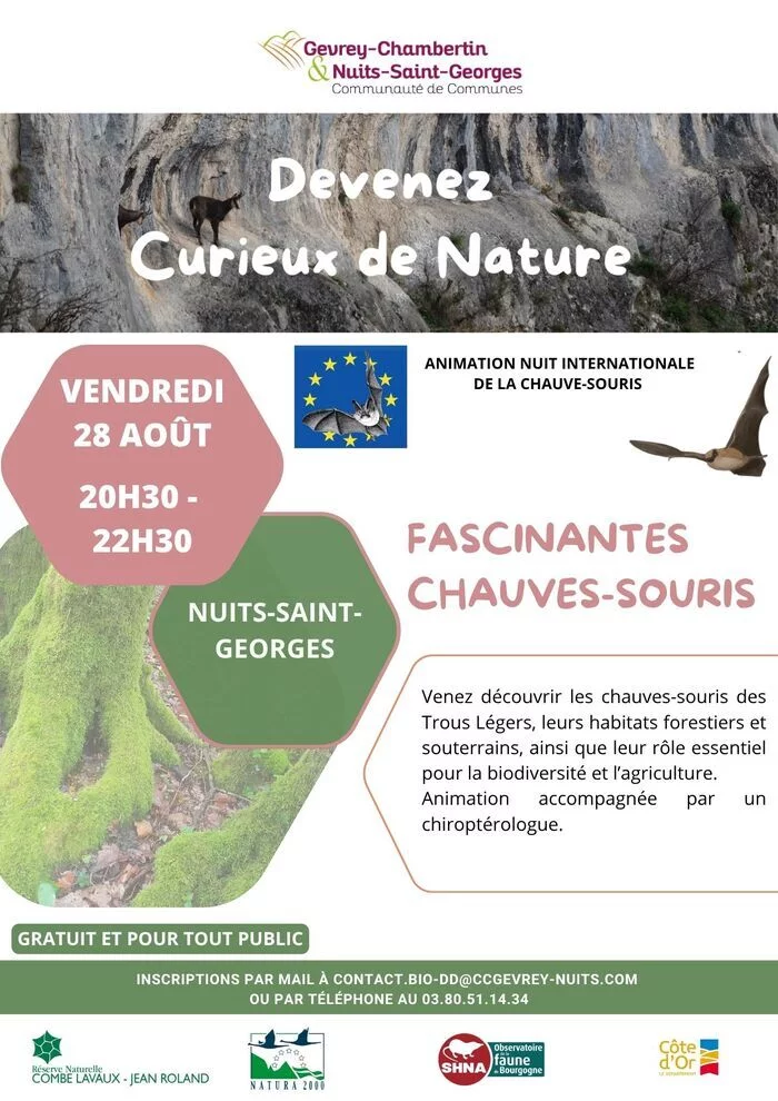Fascinantes Chauves-souris