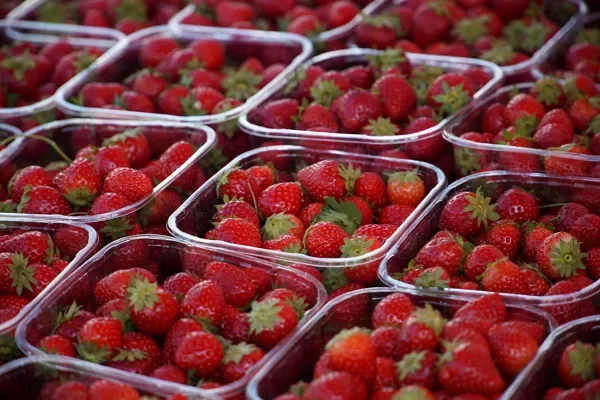 Marché de producteurs du samedi matin