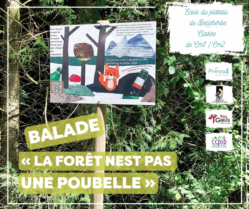 Balade « La forêt n'est pas une poubelle »