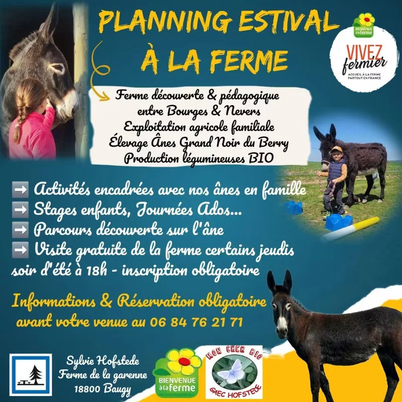 Activités estivales à la ferme 2026