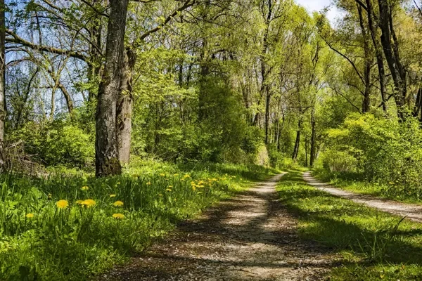 Randonnée dans la fraîcheur du matin "Jouels - Rébintin - La Longagne"