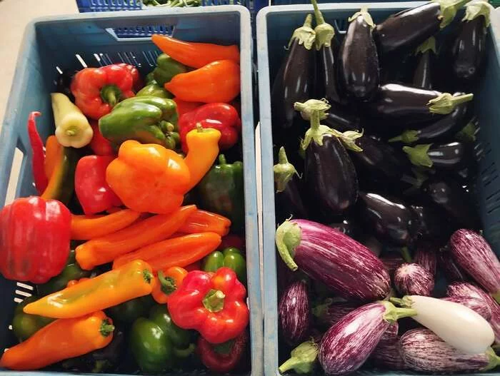 Marché de producteurs locaux