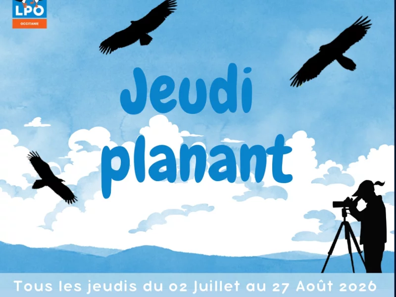 JEUDI PLANANT