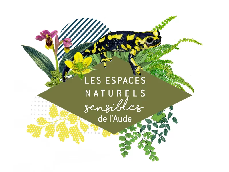 ENS - SAINTE-LUCIE, À VOS MARQUES, PRÊT, PARTEZ !