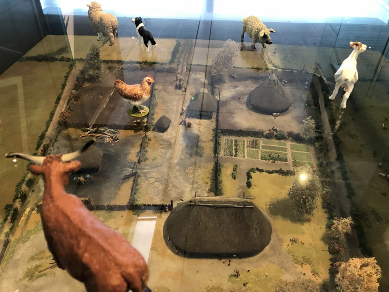 Musée décalé, une visite famille à Bibracte