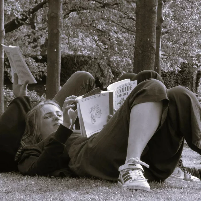 Candide ou l’art de cultiver son jardin !