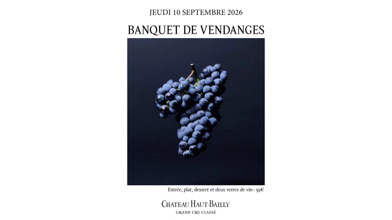 Banquet de vendanges au Château Haut-Bailly