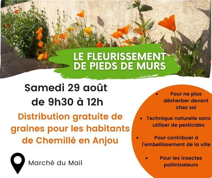 Distribution de graines de fleurs