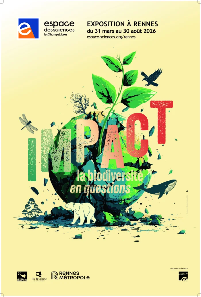 Impact