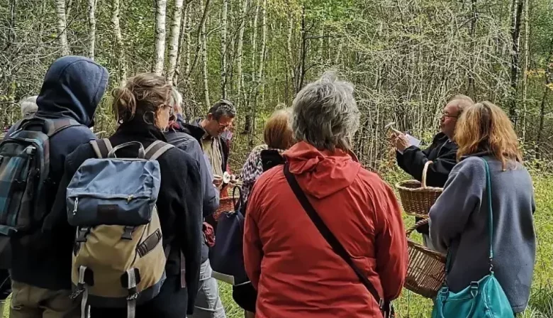 Balade au royaume des champignons