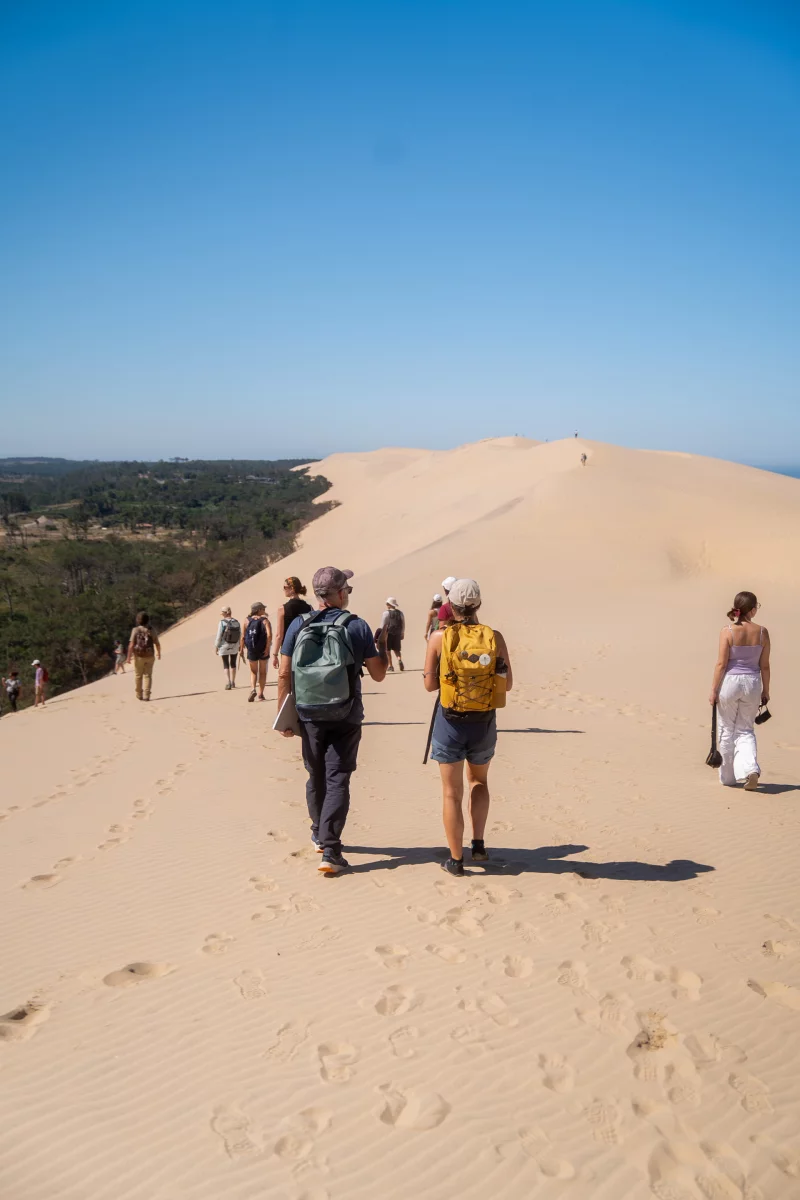 Randonnée sur la crête de la Dune du Pilat