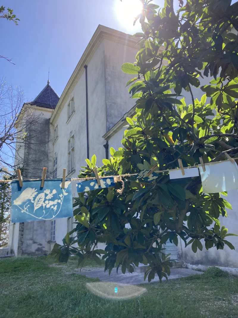 LES ATELIERS DE LA CABANE : DÉCOUVERTE DU CYANOTYPE