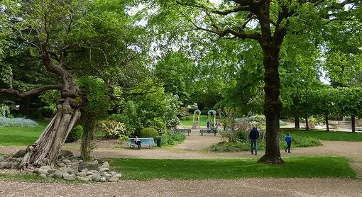 Journées Européennes du Patrimoine - "Sauvées par un jardin !" : Les Arènes du Ier siècle à nos jours