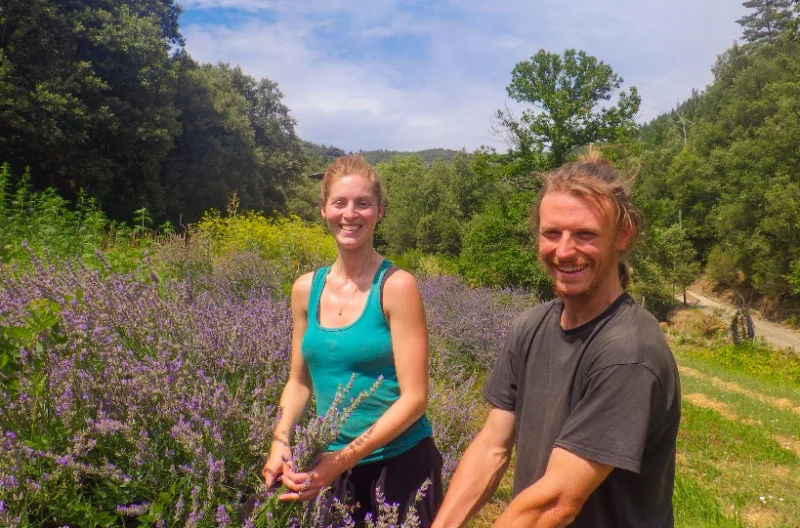 VISITES DE FERMES 2026: LES PLANTES DES CÉVENNES