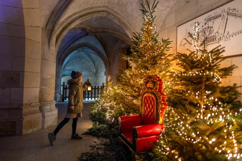 Noël au Pays des Châteaux : Le Noël royal des animaux !