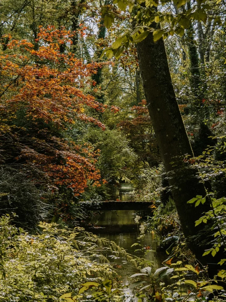Visite libre de l’Arboretum d’Ilex