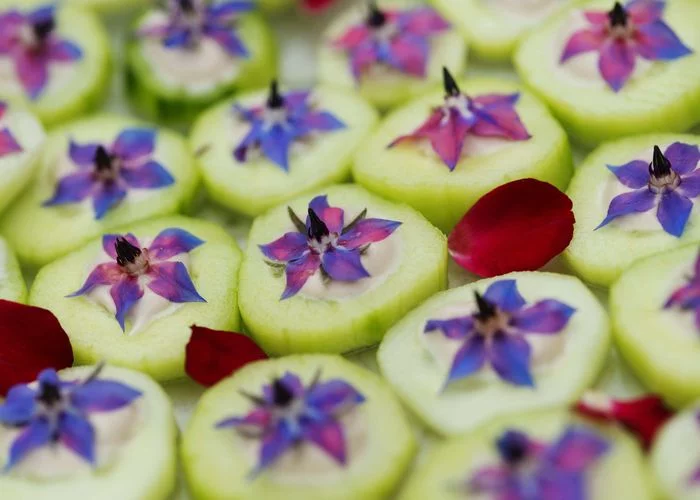 Cuisine de plantes sauvages