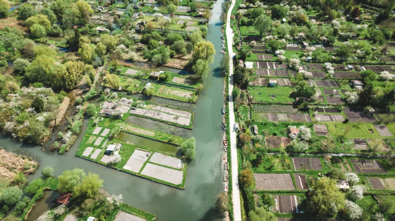 Visite guidée à pied - Les marais dans la ville
