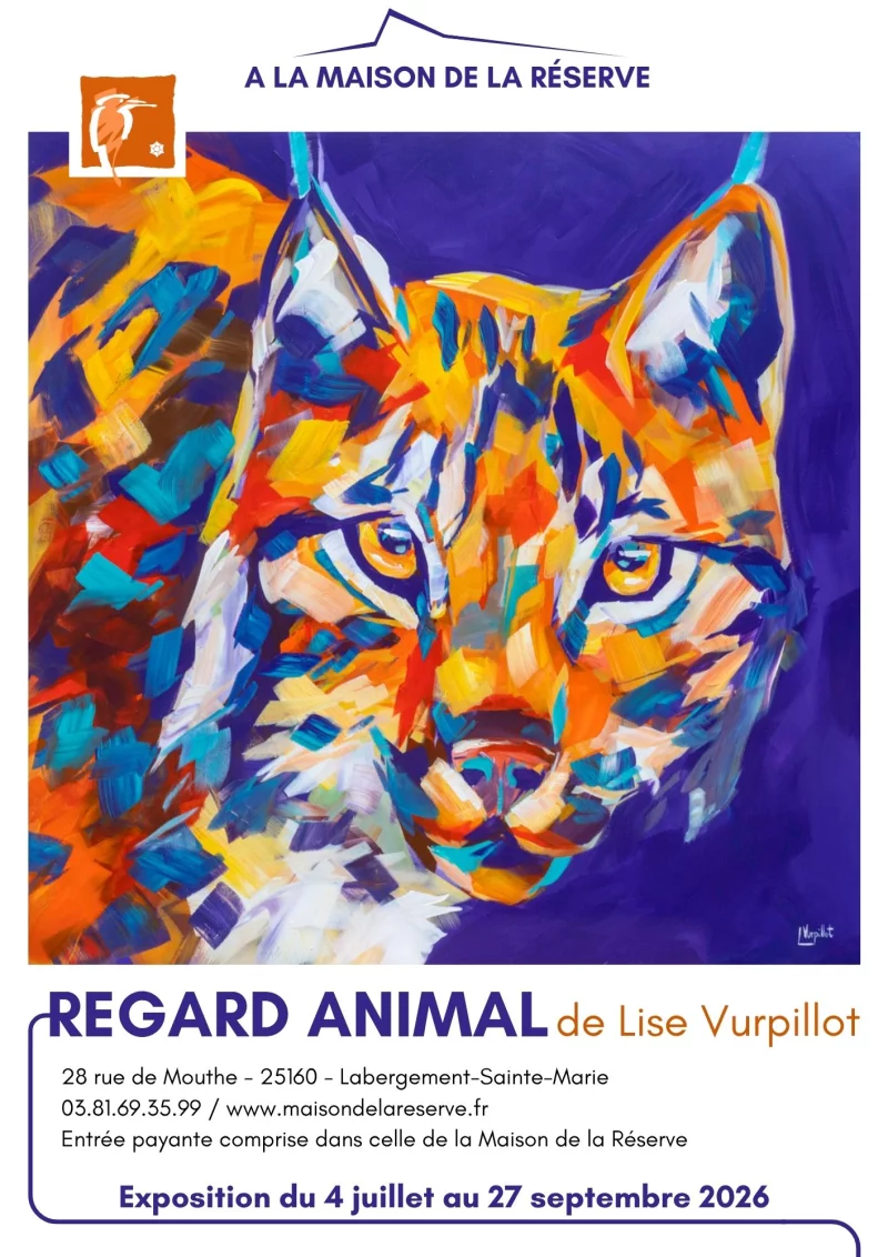 Exposition artistique - Regard animal