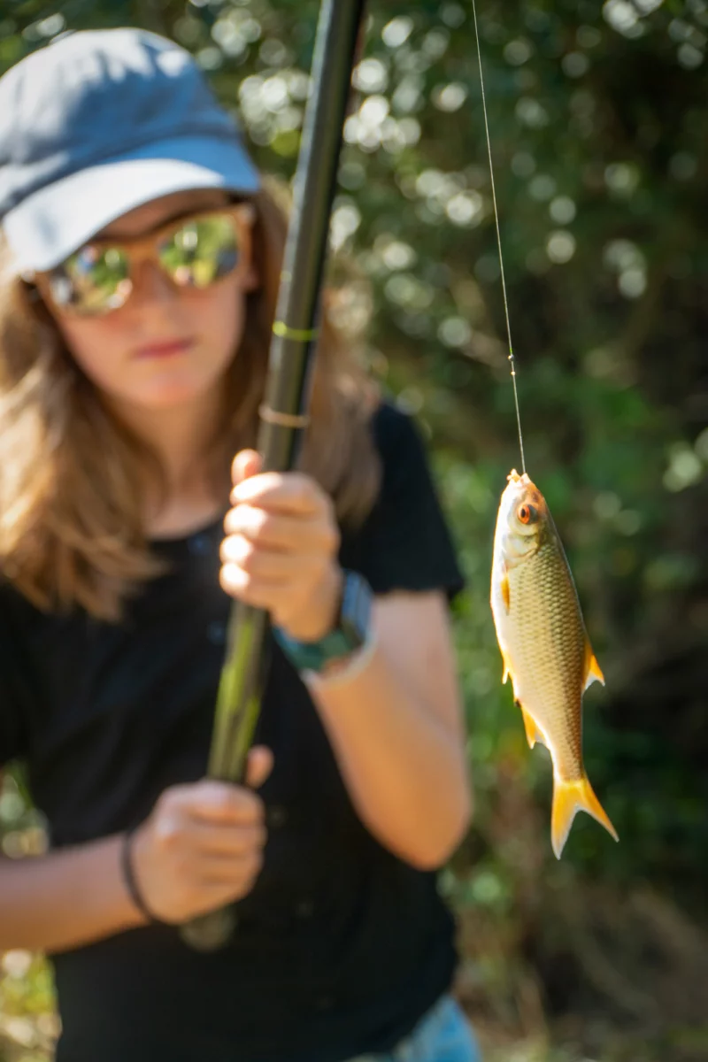 Les mercredis de la pêche