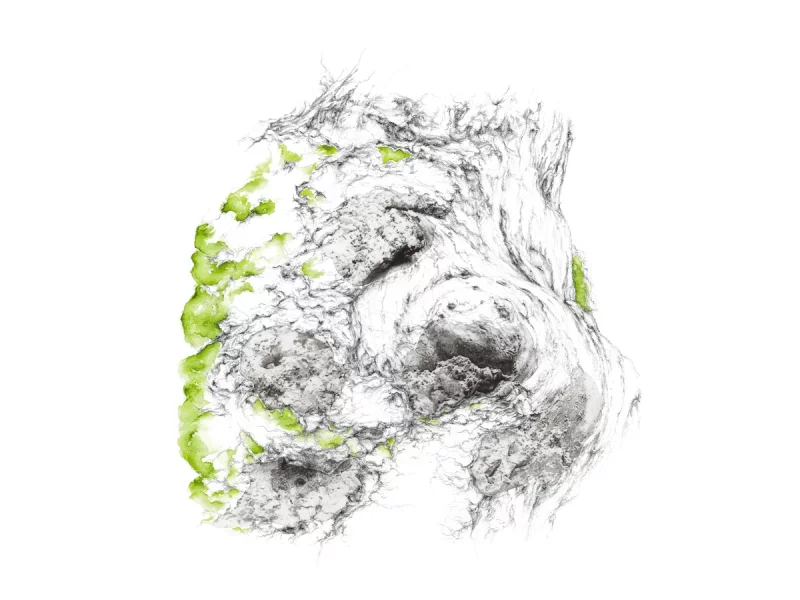 Dessin, Mathilde Wolff & photographie, Jérôme Pérez - art contemporain