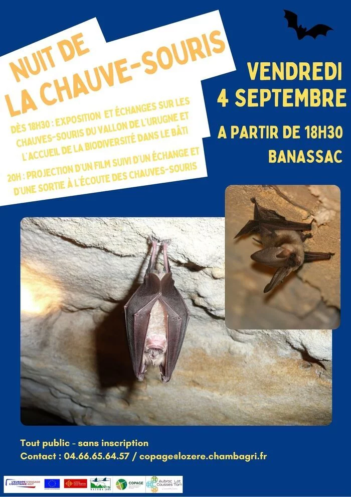 Nuit de la chauve souris