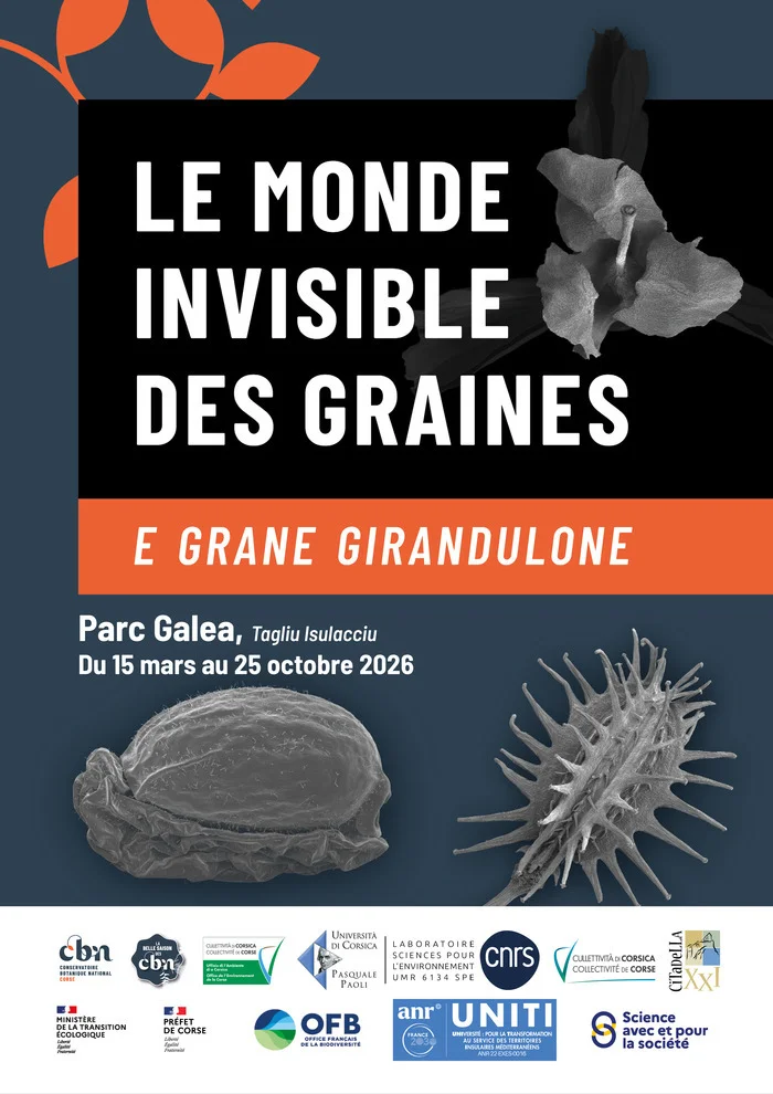 Exposition "Le monde invisible des graines - E grane girandulone"