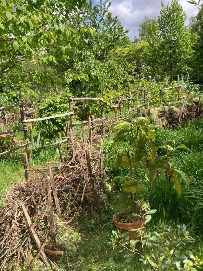 Découverte du Jardin partagé Ver Têtu