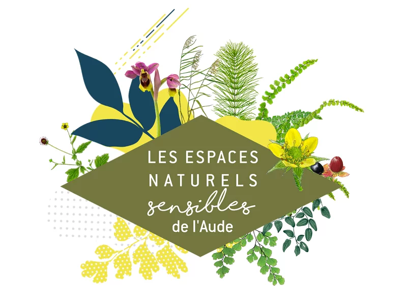 ENS - PLEINE LUNE, AFFÛTS ET CHAUVES-SOURIS