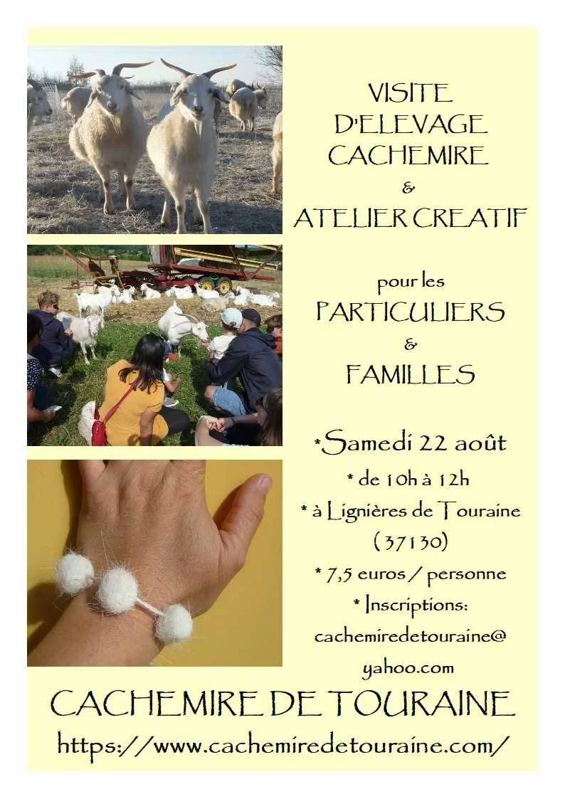 Visite pédagogique Cachemire et atelier créatif