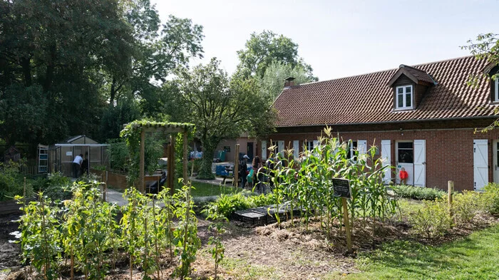 Prenons soin du potager