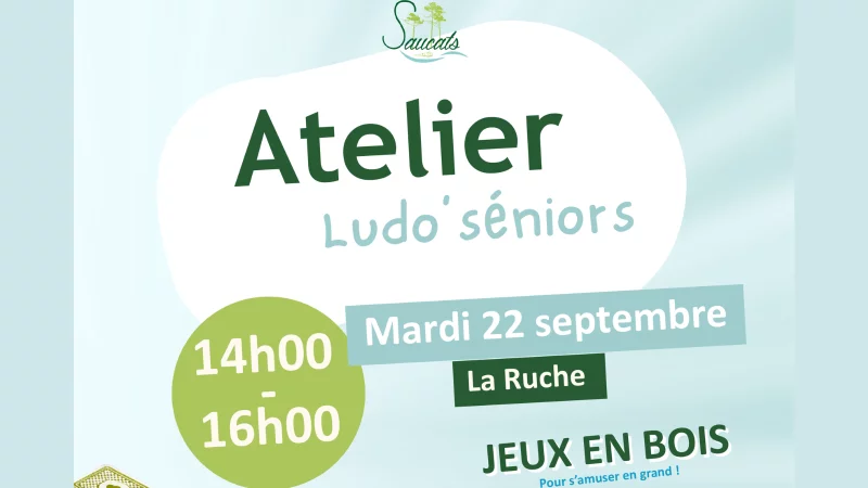Ludo séniors