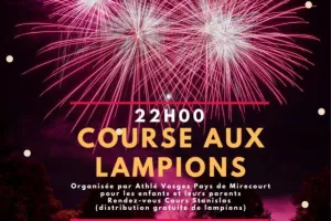 Feu d'artifice - fête nationale