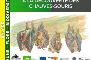 ALPES AZUR MERCANTOUR - À la découverte des chauves-souris