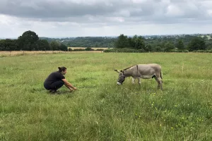 Chasse aux trésors