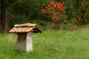 Animations abeilles