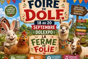 Foire de Dole