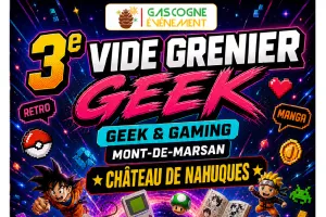 Vide Grenier Geek