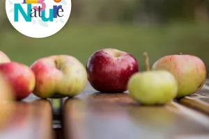 Atelier arboriculture - Tutti Frutti