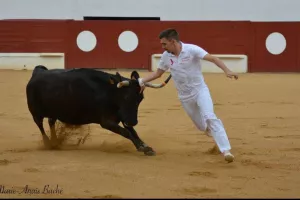 Concours de cocarde