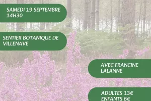 A la découverte des plantes sauvages, médicinales et comestibles avec Francine