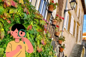 Théodon sur les traces des vignerons