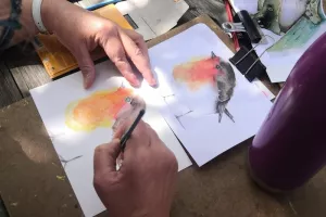 Atelier initiation Aquarelle spécial jardin- Musée de Cerdagne
